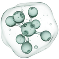 Molecule