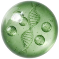 Molecule